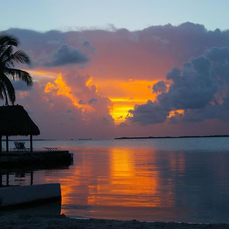 Rock Reef Resort Key Largo Exterior foto