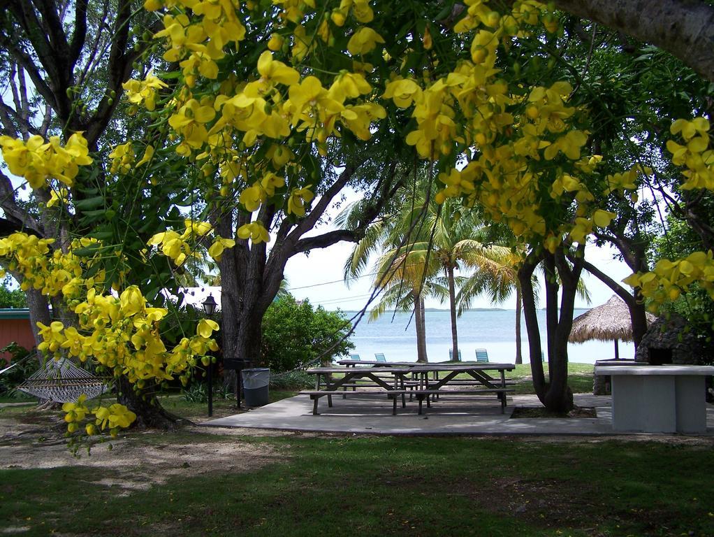 Rock Reef Resort Key Largo Exterior foto