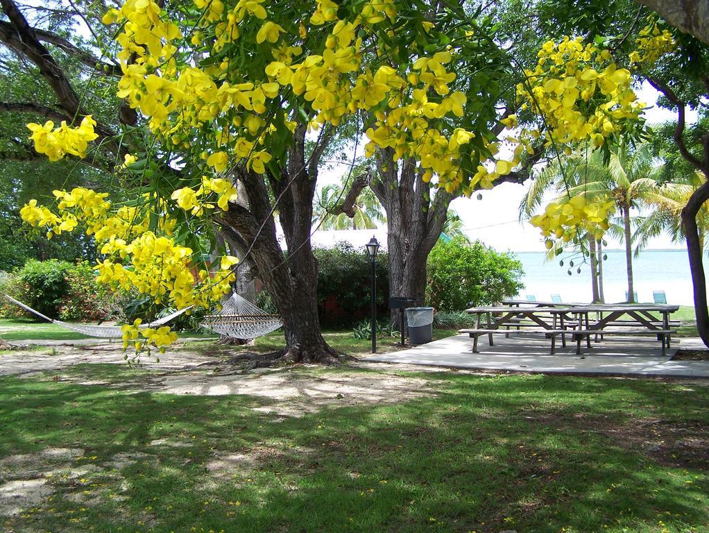 Rock Reef Resort Key Largo Exterior foto